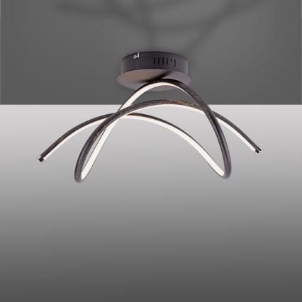 Leuchten Direkt 15441-48 - LED fäst ljuskrona VIOLETTA LED/26W/230V