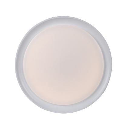 Leuchten Direkt 15544-16 - LED RGB Dimmable ceiling belysning RIBBON LED/15W/230V