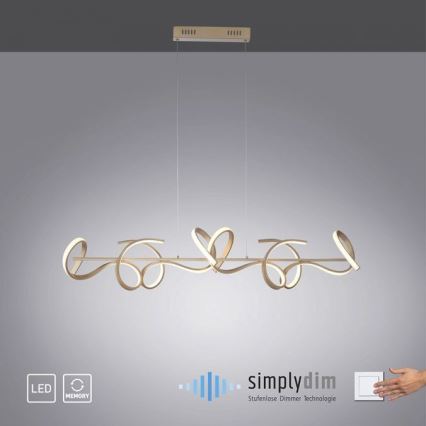 Leuchten Direkt 19033-60 - LED ljusreglerad ljuskrona på snöre CURLS LED/40,8W/230V