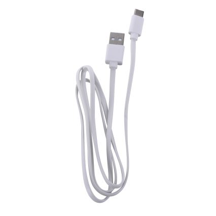 Leuchten Direkt 19250-16 - LED Utomhusdimbar uppladdningsbar bordslampa EURIA LED/3W/5V IP54 vit