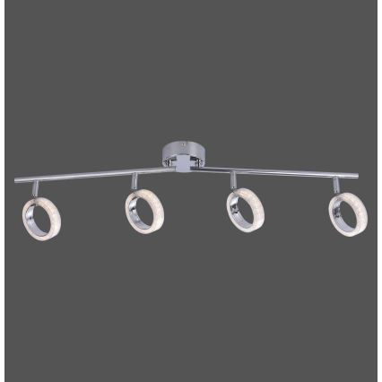 Leuchten Direkt L10504-17 - LED spotlight  ANGELO 4xLED/3,5W/230V