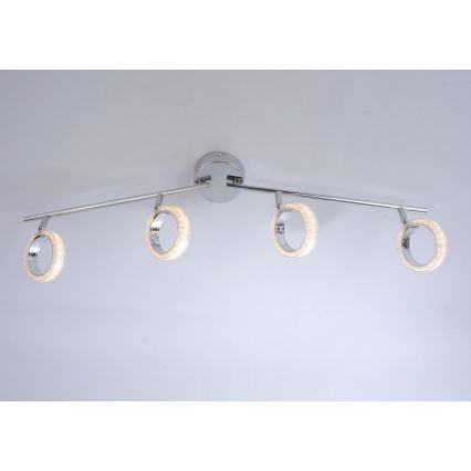 Leuchten Direkt L10504-17 - LED spotlight  ANGELO 4xLED/3,5W/230V