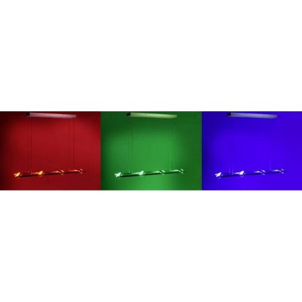 Leuchten Direkt - LED RGB Dimbar Ljuskrona med snöre OPTI 8xLED/3W/230V + Fjärrstyrd