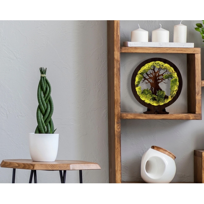 Li-Go 23631/DUB2 - Dimbar LED-bordsdekoration LED/12W/230V 30x31 cm ek/mossa och träd