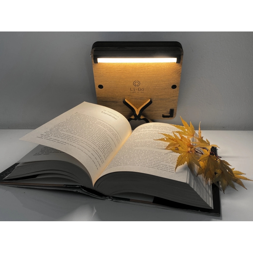 Li-Go 4070/DUB2 - LED bordsdekoration LED/12W/230V 19x19 cm ek/häst