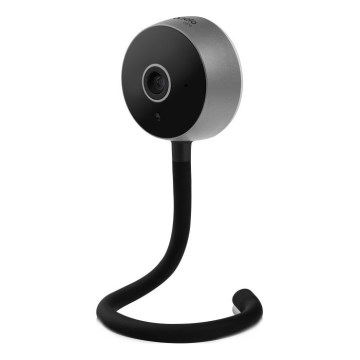 Lionelo - Smart babymonitor BABYLINE SMART Wi‑Fi, svart