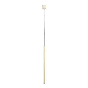 Ljuskrona med textilsladd COLLET 1xG9/40W/230V guld