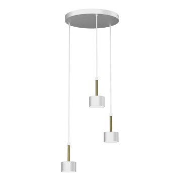 Ljuskrona med upphängningsrem ARENA 3xGX53/11W/230V vit/guld