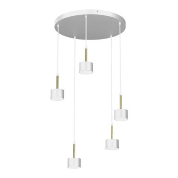 Ljuskrona med upphängningsrem ARENA 5xGX53/11W/230V vit/guld