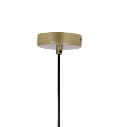 Ljuskrona med upphängningsrem DUO 2xE14/40W/230V gyllene/svart