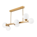 Ljuskrona on a pole ASTRO 6xG9/5W/230V guld