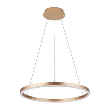 Ljusskrona med upphängningsrem  påNA LED/62W/230V diameter  80 cm