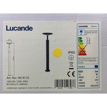 Lucande - LED-utomhuslampa FENIA LED/12W/230V IP65