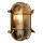 Lucide 11891/20/02 - Vägglampa för utomhusbruk DUDLEY 1xE27/40W/230V IP65 guld