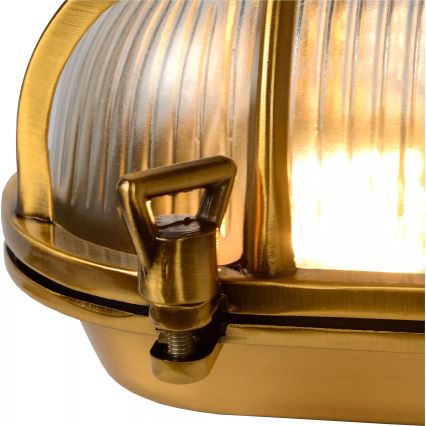 Lucide 11891/20/02 - Vägglampa för utomhusbruk DUDLEY 1xE27/40W/230V IP65 guld