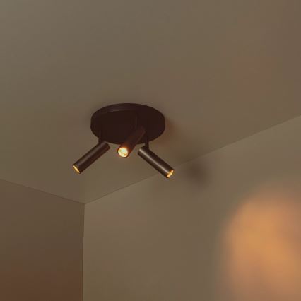 Lucide 22974/13/15 - Spotlampa GRADO 3xGU10/40W/230V brun/svart