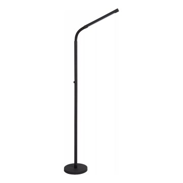 Lucide 36712/04/30 - LED Ljusreglerad beröring golvlampa GILLY LED/6W/230V 4000 mAh svart