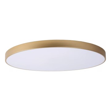 Lucide 79185/80/02 - LED Dimbar taklampa UNAR LED/80W/230V diameter 80 cm guld