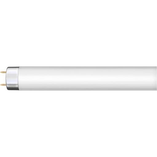 Lysrör G13/36W/230V 120 cm