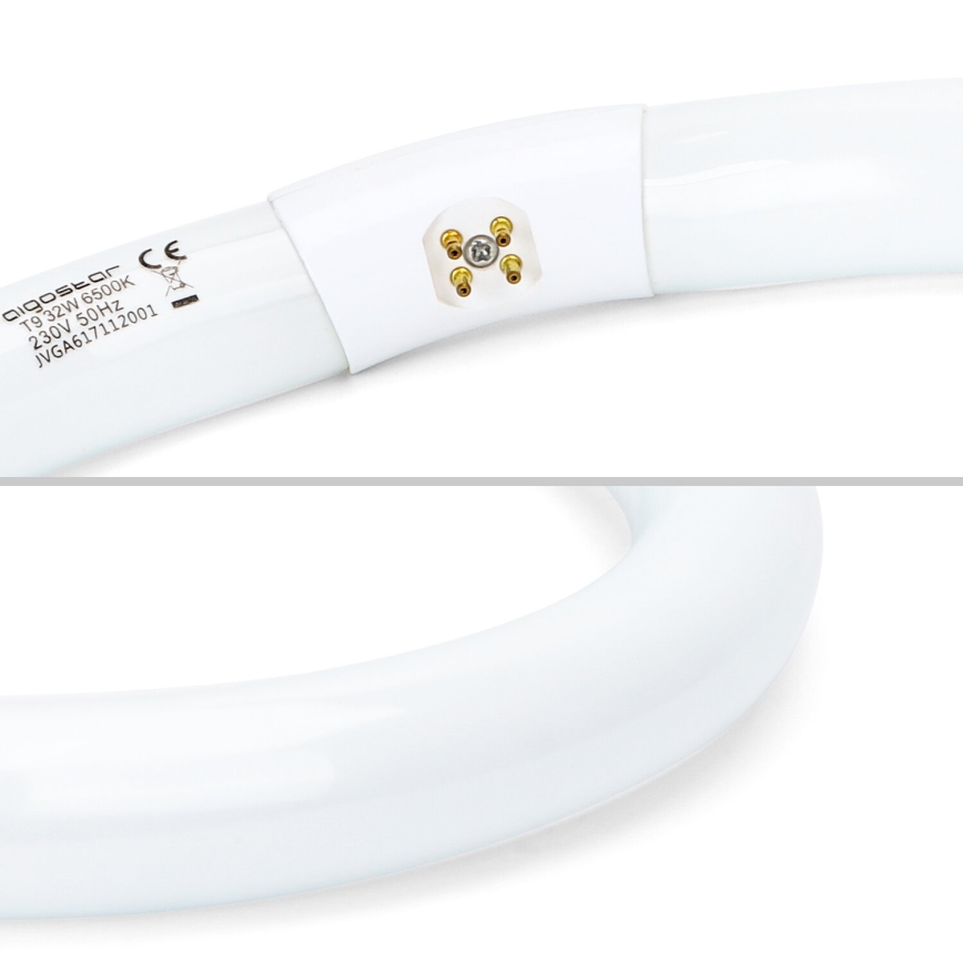 Lysrör T9 G10q/32W/230V 6500K - Aigostar