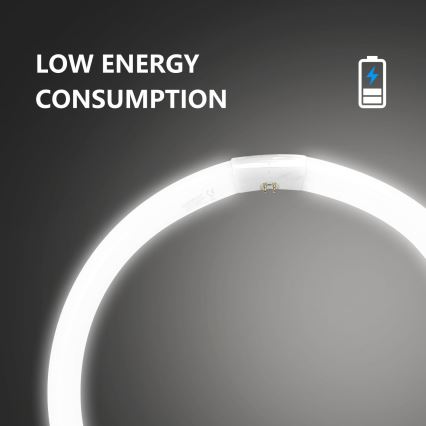 Lysrör T9 G24q-1/40W/230V 6500K - Aigostar