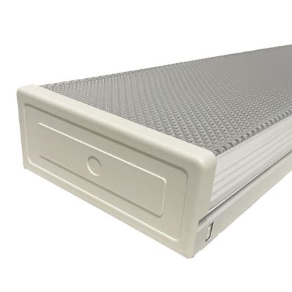 Lysrörsbelysning T8 2xG13/18W/230V 124 cm