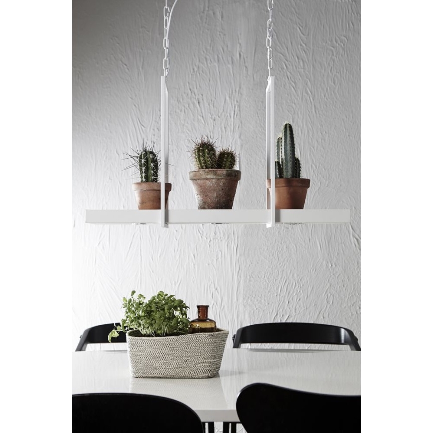 Markslöjd 106124 - Dimbar LED-lampakrona med kedja TRAY 3xLED/3W/230V vit