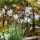 Markslöjd 107293 - LED dekorativ utomhusslinga KRANS GARDEN 10xLED 5,5m IP44