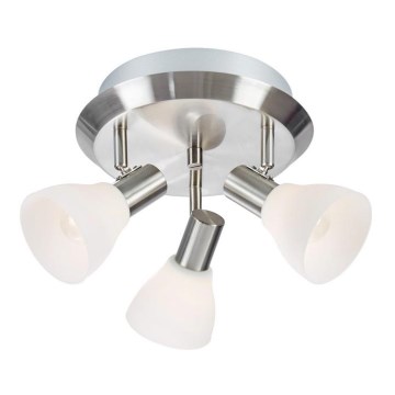 Markslöjd 107505 - Spotlight VERO 3xE14/40W/230V skinande krom