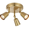 Markslöjd 108980 - Spotlampa TINY 3xGU10/7W/230V mässing