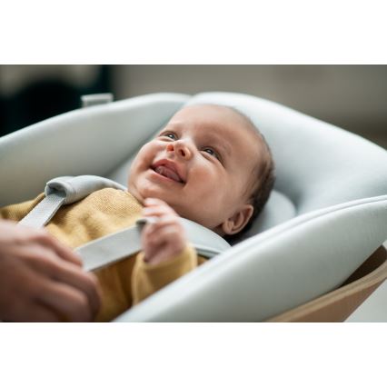 Maxi-Cosi - Tillbehör för matstol NESTA 6m blå