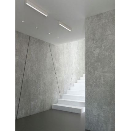 MAXLIGHT C0125D - LED Dimbar taklampa LINEAR LED/36W/230V 113,5 cm vit