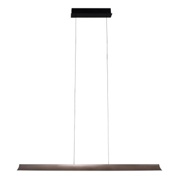MAXLIGHT P0595 - LED ljusreglerad ljuskrona på textilsladd JO-JO LED/38W/230V 2700/4500/5500K antracit