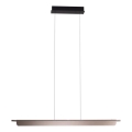 MAXLIGHT P0597 - Dimbart LED-taklampa på kabel JO-JO LED/40W/230V 2700/4500/5500K antracit