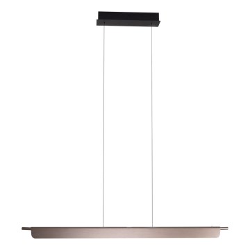 MAXLIGHT P0597 - LED ljusreglerad ljuskrona på textilsladd JO-JO LED/40W/230V 2700/4500/5500K antracit