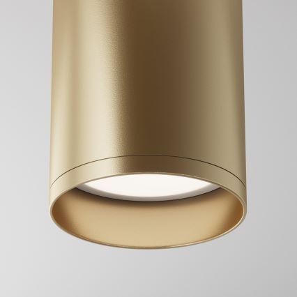 Maytoni C010CL-01MG - Spotlight FOCUS 1xGU10/50W/230V guld