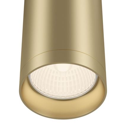 Maytoni C010CL-01MG - Spotlight FOCUS 1xGU10/50W/230V guld