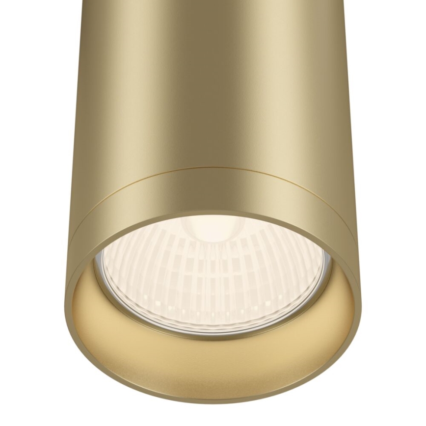 Maytoni C010CL-01MG - Spotlight FOCUS 1xGU10/50W/230V guld