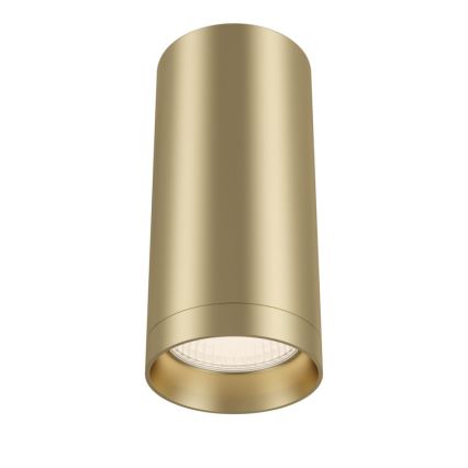 Maytoni C010CL-01MG - Spotlight FOCUS 1xGU10/50W/230V guld