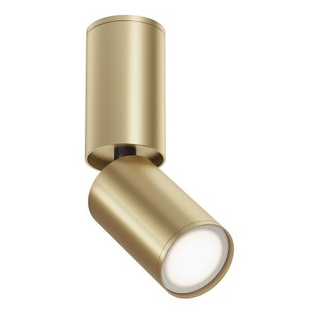 Maytoni C051CL-01G - Spotlight FOCUS 1xGU10/10W/230V guld