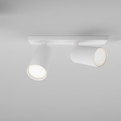 Maytoni C051CL-U-2W - Spotlight FOCUS 2xGU10/10W/230V vit/svart