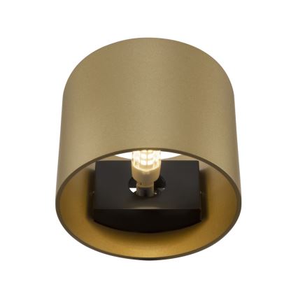 Maytoni C066WL-01MG - Vägglampa ROND 1xG9/50W/230V guld