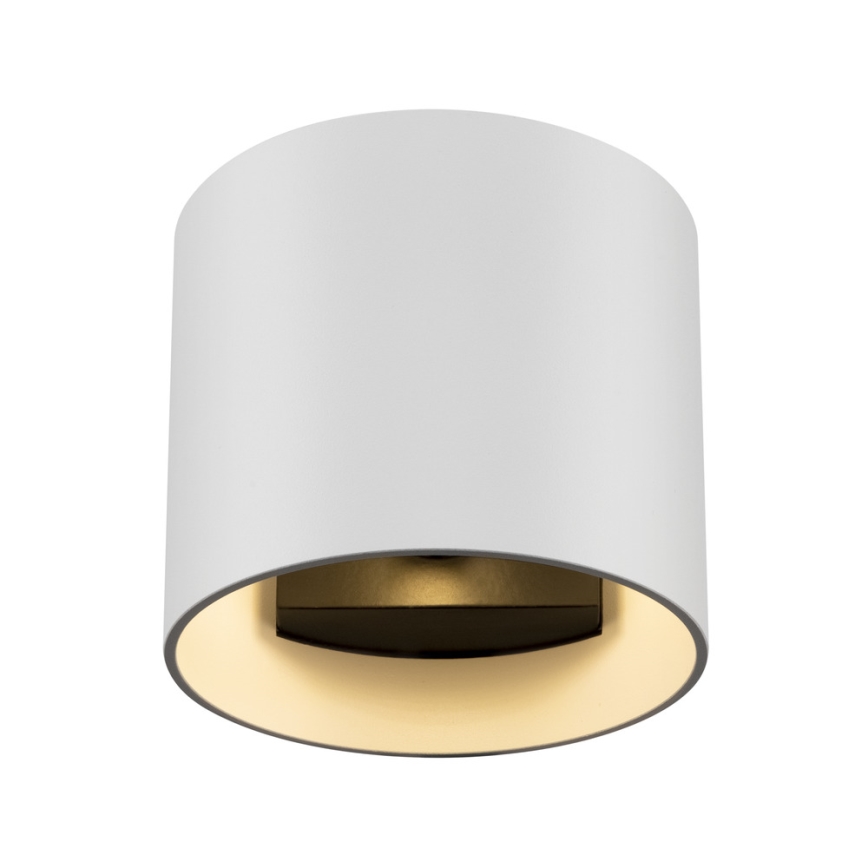 Maytoni C066WL-01W - Vägglampa ROND 1xG9/50W/230V vit
