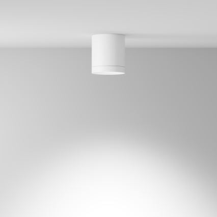 Maytoni C086CM-GX53-MRD-W - Spotlight HOOP 1xGX53/15W/230V vit
