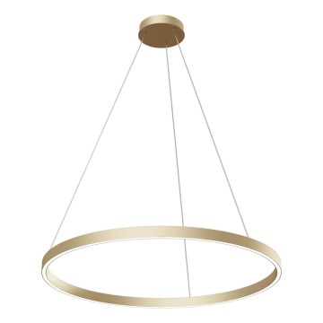 Maytoni MOD058PL-L42BS4K - LED ljuskrona med textilsladd RIM LED/51W/230V 4000K diameter 80 cm guld