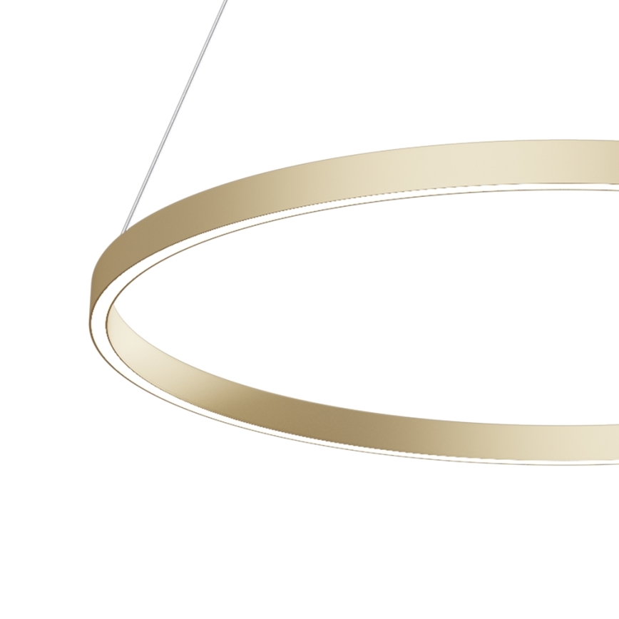 Maytoni MOD058PL-L42BS4K - LED ljuskrona med textilsladd RIM LED/51W/230V 4000K diameter 80 cm guld