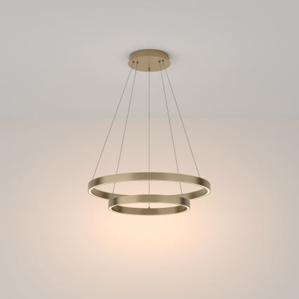 Maytoni MOD058PL-L55BS3K - LED ljuskrona med textilsladd RIM LED/61W/230V 3000K diameter 60 cm guld