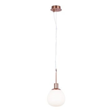 Maytoni MOD221-PL-01-G - Ljuskrona med textilsladd ERICH 1xE14/40W/230V koppar