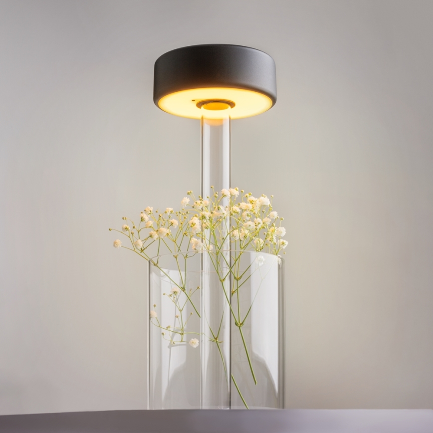 Maytoni MOD229TL-L3B3K1 - LED Ljusreglerad uppladdningsbar bärbar bordslampa LED/3W/5V 2200-4000K svart/genomskinlig