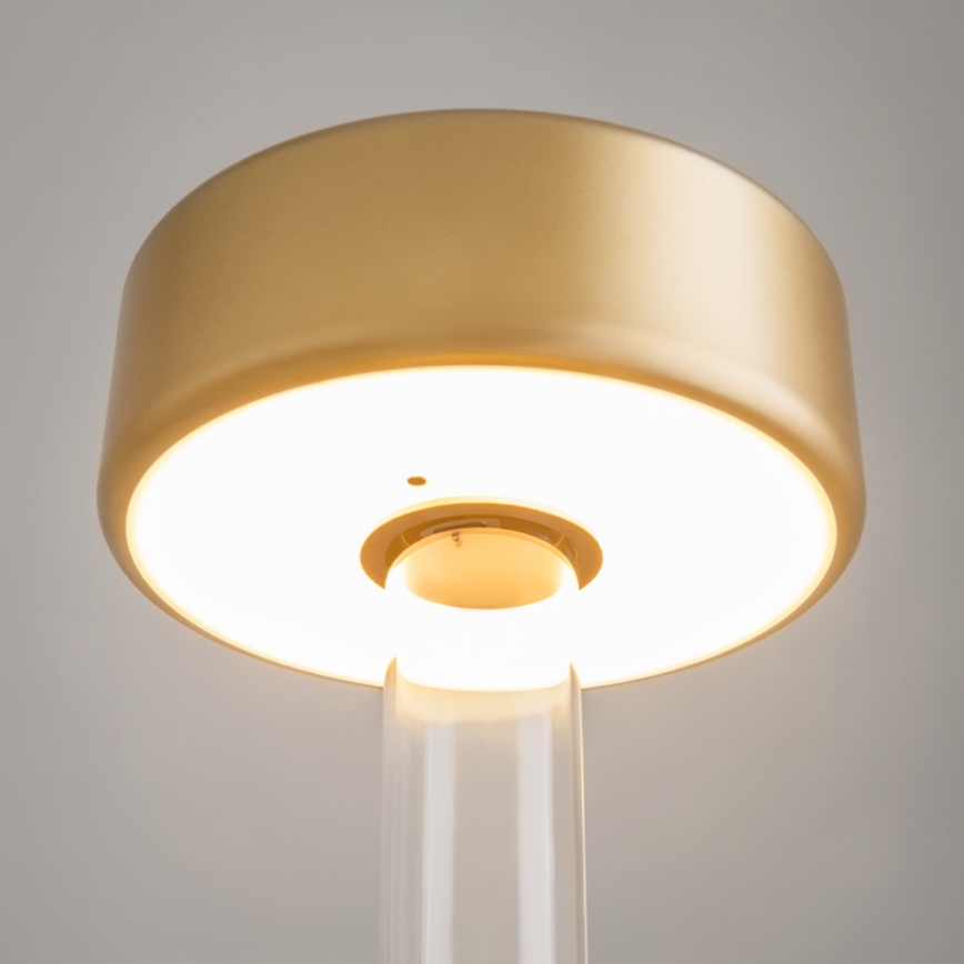 Maytoni MOD229TL-L3G3K1 - LED Ljusreglerad uppladdningsbar bärbar bordslampa LED/3W/5V 2200-4000K guld/genomskinlig